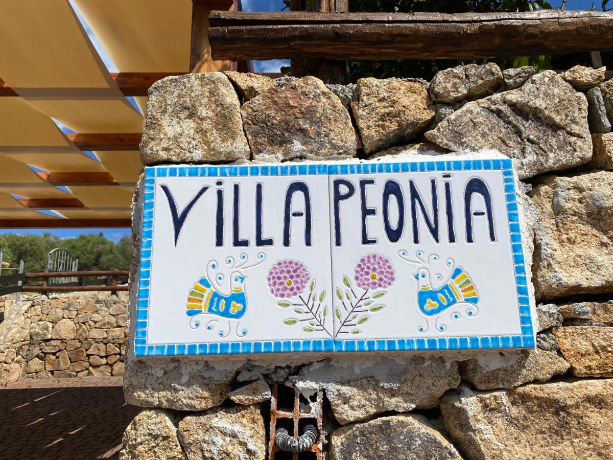Villa Peonia บูโดนี ภายนอก รูปภาพ
